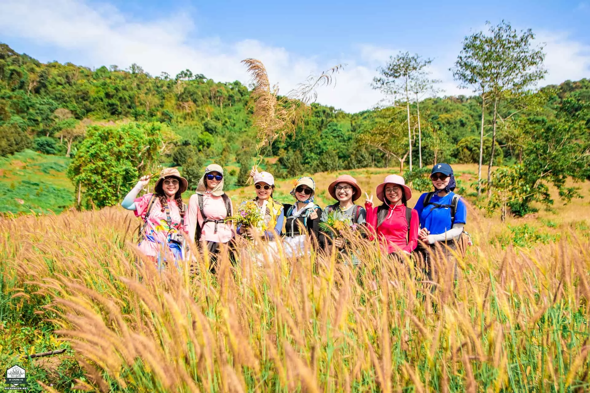 Thác liêng ài - đồi chè Tâm Châu